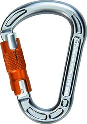 Climbing Technology Concept WG Twistlock karabijnhaak met ring, grijs
