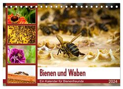 Bienen und Waben (Tischkalender 2024 DIN A5 quer), CALVENDO Monatskalender: Bienen auf Blüten und Waben.