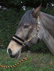 Rhinegold Love My Pony - Set di Copricapo e Corda, N Love My Pony, Copricapo e Corda, Set COB-Tangerine, Mandarino., COB