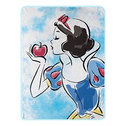 NORTHWEST Disney Princess Micro Raschel Gooi Deken, 46" x 60", Rode appel