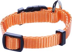 Ziggi halsketting, oranje, XXS, 15-25 cm, 10 mm