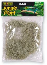 Askoll 281677 plant exoterra plant spanish moss large