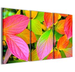 Kunstdruk op canvas, foliage kleurenbladeren, moderne foto's van 3 panelen, klaar om op te hangen, 100 x 70 cm