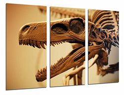 Poster Fotográfico Arqueologia, Fosil Dinosaurio Rex, Huesos y Dientes Tamaño total: 97 x 62 cm XXL