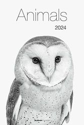 Animals 2024 Photo Calendar Poster Calendar 33 x 49.5 cm Animals