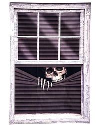 CURTAIN MET SKELETON ON WINDOW PRINT H.CM.120 X L.CM.80 IN PBH