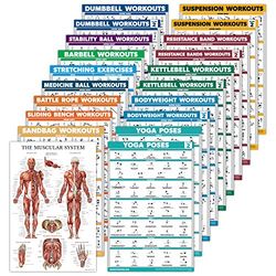 Confezione da 20 poster per esercizi di allenamento: manubri, sospensioni, corda da battaglia, stretching, peso corporeo, bilanciere, yoga, palla ginnica, kettlebell, fasce di resistenza e altro