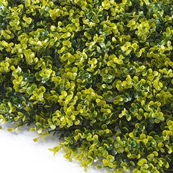 TENAX Divy Panel Buxus, 100 x 100 cm, groen, modulair paneel met kunstmatige 3D-bladeren, type buxus voor muren, verticale tuinen en decoraties voor binnen en buiten