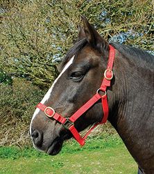 Rhinegold Nylon Halster - Pony - Rood