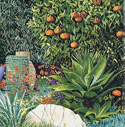 Susan Entwistle Art Monaco Jardin II Cartes de vœux, 15 cm x 15 cm, Multicolore, Lot de 6