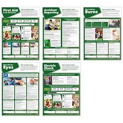 Daydream Education - Póster de primeros auxilios - Juego de 5 | carteles de salud y seguridad | Papel laminado brillante 420 mm x 594 mm (A2) | Gráficas educativas de Daydream Education