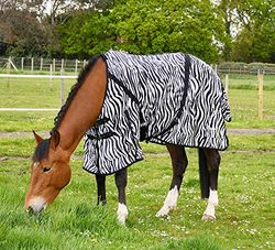 Rhinegold flugmatta med nackskydd-6/3-zebra