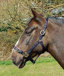 Rhinegold Shetland Nylon Halsband, Navy