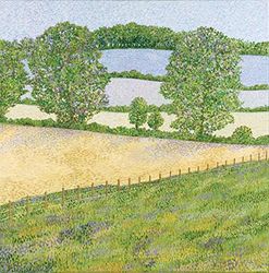 Susan Entwistle Art hêtres Carte de vœux, 15 cm x 15 cm, Multicolore, 6 pièces