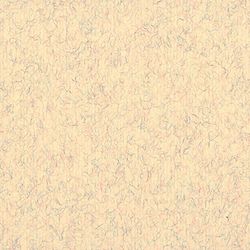 Clairefontaine - Ref 93504C - Ingres Pastel Coloured Paper (Pack of 25 Sheets) - 50 x 65cm, 130gsm Drawing Paper, Marbled - Suitable for All Dry Techniques