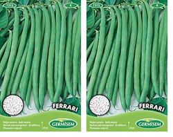 Germisem Ferrari Graines de Haricots Français 100 g EC1213 Multicolore (Lot de 2)
