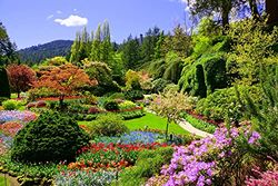 Papermoon Butchart Gardens - Carta da parati fotografica in tessuto non tessuto, stampa digitale, colla inclusa, varie misure