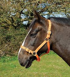 Rhinegold Nylon Headcollar - Shetland - Mandarino