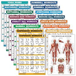 Palace Learning Set da 16 poster per esercizi: manubri, sospensioni, kettlebell, bande di resistenza, palla medica, corda da combattimento, stretching, peso corporeo, bilanciere, yoga, palla per