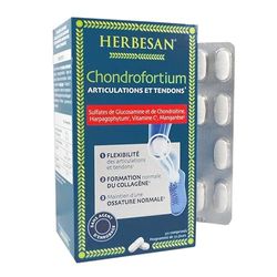 HERBESAN®-CHONDROFORTIUM - ARTICULATIONS ET TENDONS - Flexibilité, Collagène, Ossature normale -Programme de 30 jours -90 comprimés