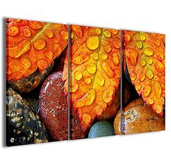 Stampe su Tela Cuadro Foliage Rain Follaje lluvia lienzo moderno en 3 paneles ya enmarcados, listo para colgar, 90 x 60 cm