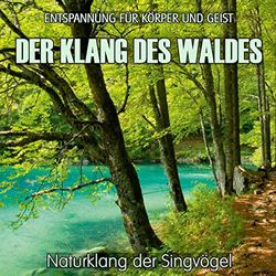 Der Klang des Waldes - Naturklang der Singvögel (ohne Musik): Entspannung für Körper und Geist