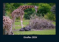 Giraffen 2024 Fotokalender DIN A4: Monatskalender mit Bild-Motiven von Haustieren, Bauernhof, wilden Tieren und Raubtieren