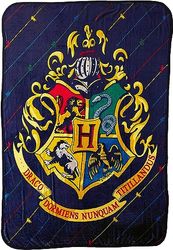 NORTHWEST Harry Potter Micro Raschel Throw Blanket, 46" x 60", House Pinstripes
