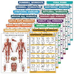 Set da 16 poster per esercizi e allenamenti: manubri, sospensioni, kettlebell, bande, palla medica, corda da combattimento, stretching, peso corporeo, bilanciere, yoga, palla per esercizi (cartella,