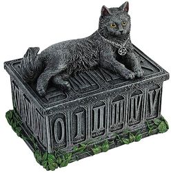 Nemesis Now B2808G6 Fortune's Watcher Tarot Box 17cm Black, Resin