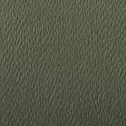 Clairefontaine – Ref 93886C – Etival färgat kornigt ritpapper (paket med 25 ark) – A4 (29,7 x 21 cm) – 160 gsm cellulosa konstpapper – havsgrön – syrafri, pH-neutral