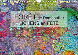 Foret de rambouillet - lichens en fete (calendrier mural 2020 din a4 horizontal) - dans la foret de (Calvendo Nature)