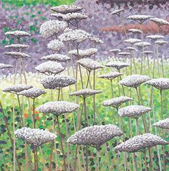 Susan Entwistle Art Gel sur seedheads Cartes de vœux, 15 cm x 15 cm, Multicolore, Lot de 6