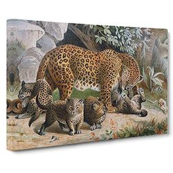 Natural History Leopards Vintage Canvas Wall Art Print Ready to Hang, Framed Picture for Living Room Bedroom Home Office Décor, 24x16 Inch (60x40 cm)