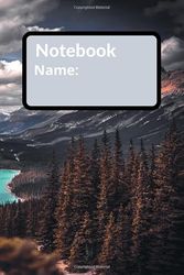 School Notebook: School Notebook, Journal, Diary (110 Pages, Blank, 6 x 9)