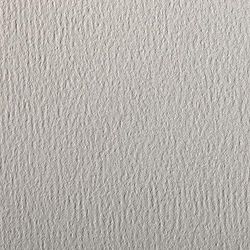 Clairefontaine – Ref 93881C – Etival färgat kornigt ritpapper (paket med 25 ark) – A4 (29,7 x 21 cm) – 160 gsm cellulosa konstpapper – ljusgrå – syrafri, pH-neutral