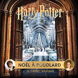 Noël à Poudlard: Le carnet magique