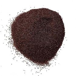 Tisane Psyllium Noir semence 1 KILO Plantago psyllium