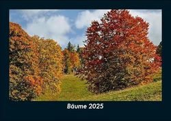 Bäume 2025 Fotokalender DIN A5: Monatskalender mit Bild-Motiven aus Orten und Städten, Ländern und Kontinenten