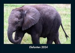 Elefanten 2024 Fotokalender DIN A4: Monatskalender mit Bild-Motiven von Haustieren, Bauernhof, wilden Tieren und Raubtieren
