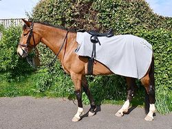 nuLOOM Rhinegold - Tappeto da Cavallo Ricamato, Colore: Grigio