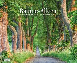 Bäume – Alleen 2024 – Wandkalender 52 x 42,5 cm – Spiralbindung