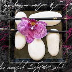 Pro-Art-Bilderpalette gla315a Asian Feeling II - Cuadro de Cristal (30 x 30 cm), diseño de orquídea