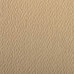 Clairefontaine – Ref 93866C – etivalfärgat kornigt ritpapper (paket med 25 ark) – A4 (29,7 x 21 cm) – 160 gsm cellulosa konstpapper – kamel – syrafritt, pH-neutralt