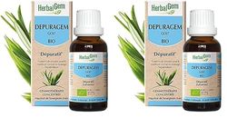 HerbalGem | DEPURAGEM BIO | Favorise l’élimination des toxines | Complexe de Gemmothérapie Concentrée | 30 ML (Lot de 2)