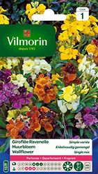 Vilmorin 5293041 muurbloem, meerkleurig, 90 x 2 x 160 cm