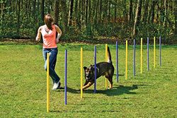 Karlie - Agility Slalom / 31855 - Set de slalom - 24 pièces