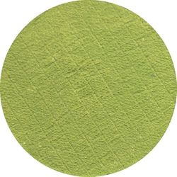 Eulenspiegel Trucco Professionale ad Acqua, Colore Witch Green, 12 ml, 130421