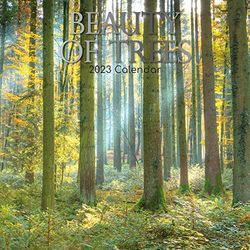 Beauty of Trees – Die Schönheit der Bäume 2023 – 16-Monatskalender: Original Gifted Stationery-Kalender [Mehrsprachig] [Kalender] (Wall-Kalender)