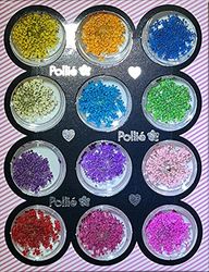 FLORES SECAS PARA NAIL ART 12 UDS